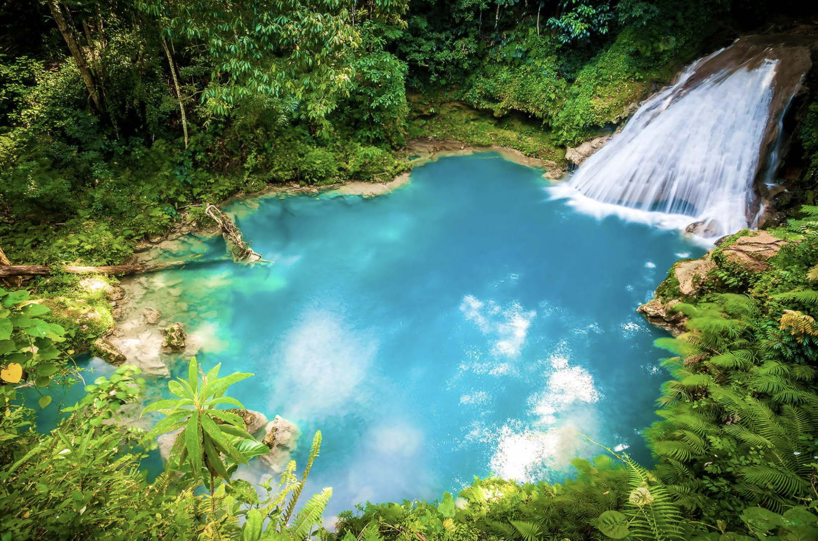 Rainforest water adventure near Ocho Rios